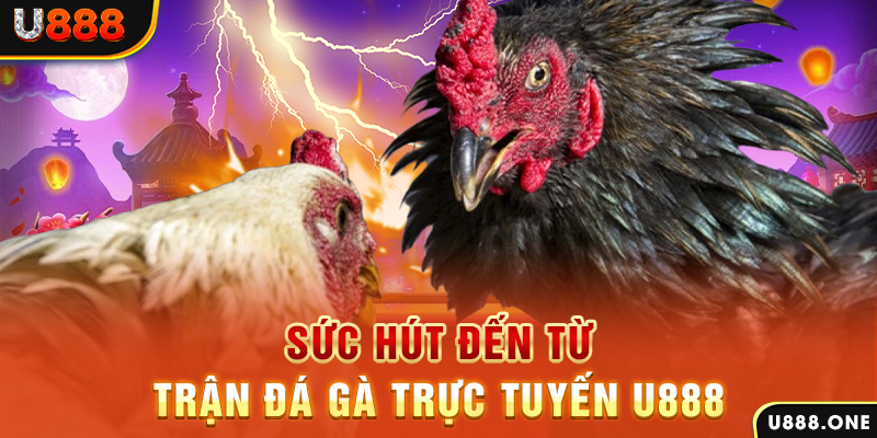 bj88 thomo đá gà trực tiếp c1