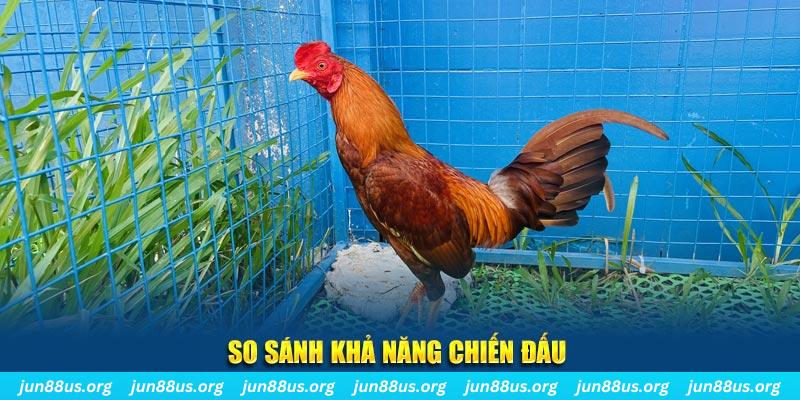 bj88 thomo CQ9 Điện Tử