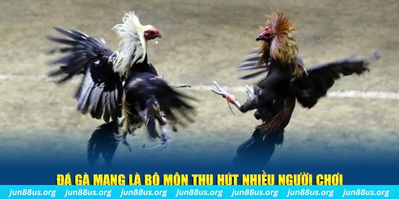 bj88 thomo bắn cá au88