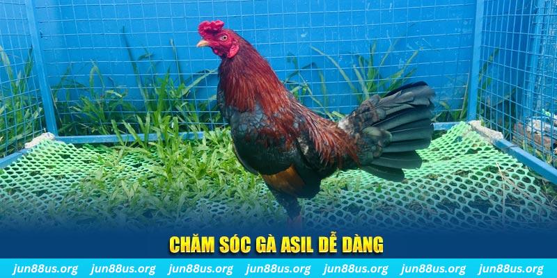 bj88 thomo game bài là gì