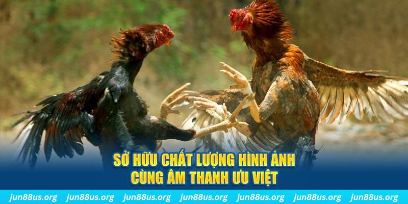 bj88 thomo PP Điện Tử