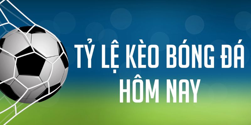 bj88 thomo gà chọi c1 mới nhất