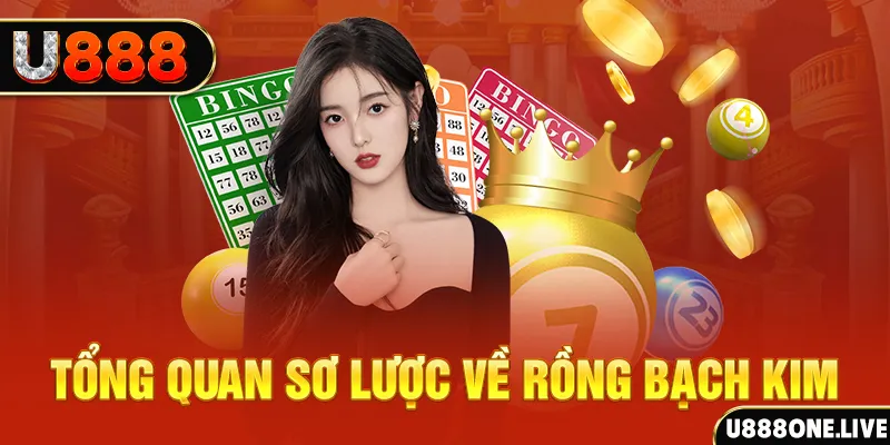 bj88 thomo hũ 8 bit nổ như thế nào