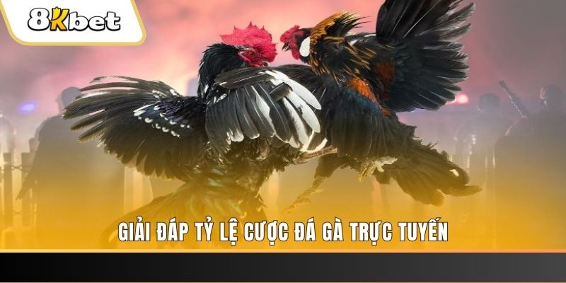 bj88 thomo xổ số đài miền trung