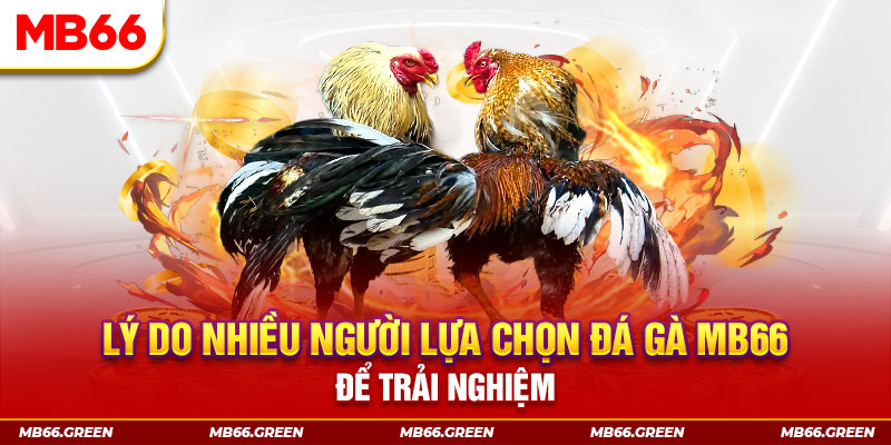 bj88 thomo xổ số miền bắc thứ bảy hàng tuần