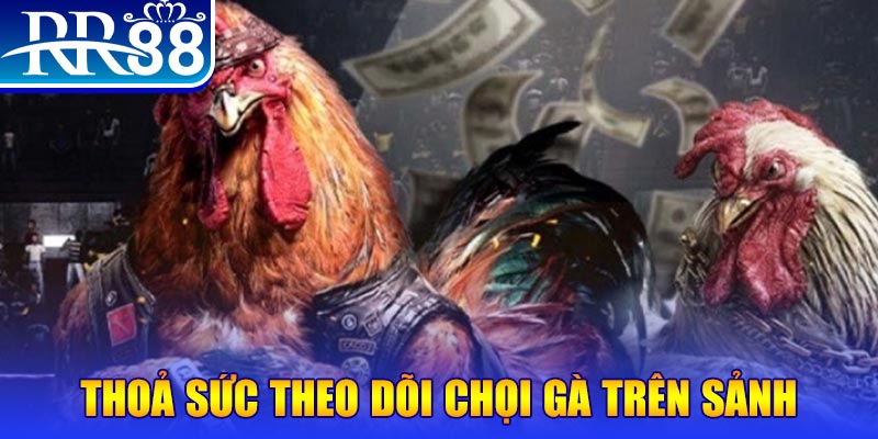 bj88 thomo trực tiếp đá gà c1