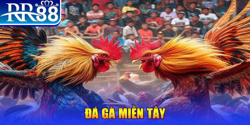 bj88 thomo no hu doi thuong ai