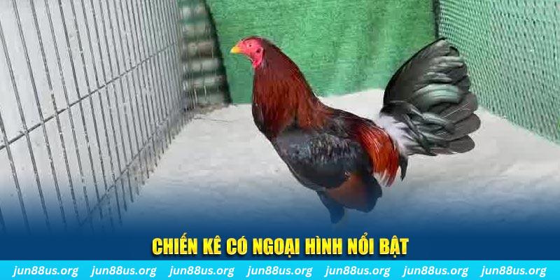 bj88 thomo game nổ hũ là gì